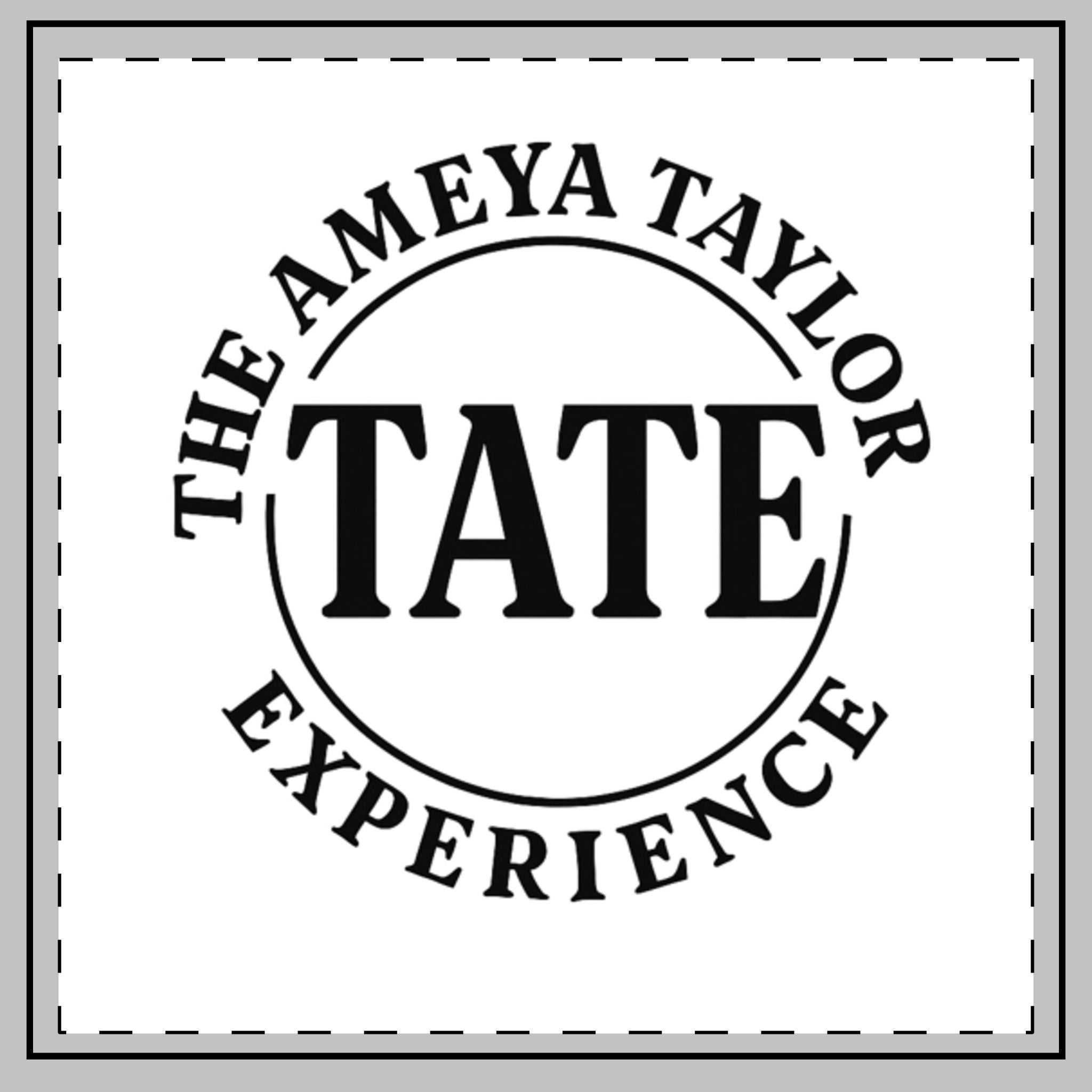 Personalized Throw Pillow, Decorative Accent Pillow, Custom Home Decor Gift, Inspirational Room Accessory, The Ameya Taylor Experience